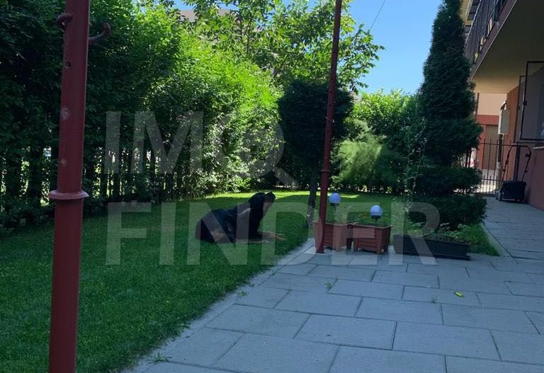 3 camere cu Gradina si Parcare exterioara zona Buna Ziua - Poză 10