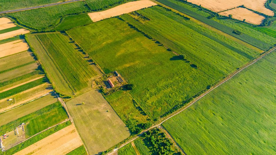 Teren de 10.000 mp situat în Bujac, Arad - Poză 2