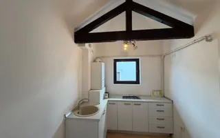 DOROBANTI-CAPITALE | SPATIU BIROURI | 270 MP | APARTAMENT IN VILA | - Poză 22