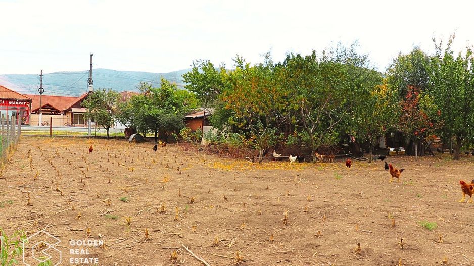 Casa in centrul localitatii Galsa - LINISTE LA TINE ACASA - COMISION ZERO - Poză 15