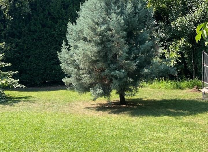 REȘEDINȚĂ EXCLUSIVISTĂ | 8 CAMERE | 4 BĂI | 2 LIVINGURI | TEREN 679 MP - Poză 13