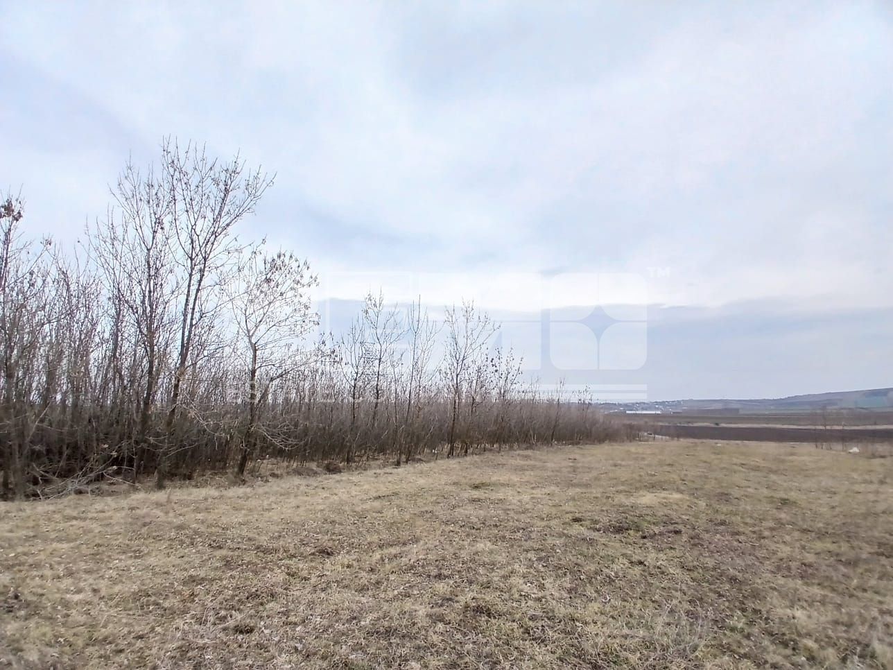 Teren DN2 | Preț: 3.100 €/arul I Suceava - Poză 4