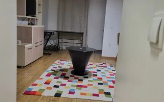 Apartament 2 camere open space, renovat, mobilat, utilat, Tudor Vladimirescu, Iași - Poză 10