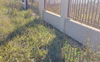 Gagu Dascalu teren ideal pentru investitie zona in dezvoltare - Poză 2