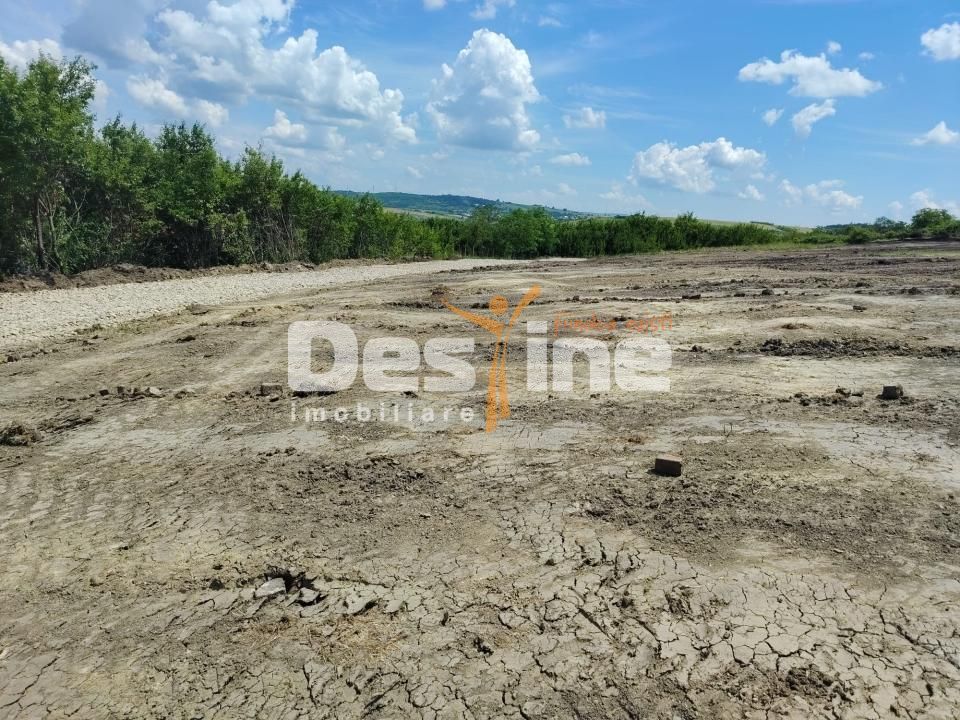 TEREN intravilan - PROSELNICI 655 MP, 19.900 EURO - Poză 5