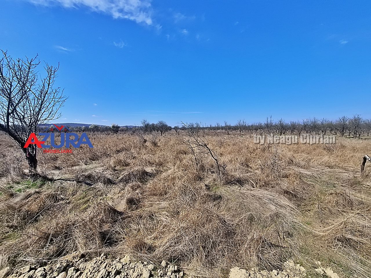 AZURA IMobiliare - Teren Iefin Bascov 3km de Giratoriu - Poză 5