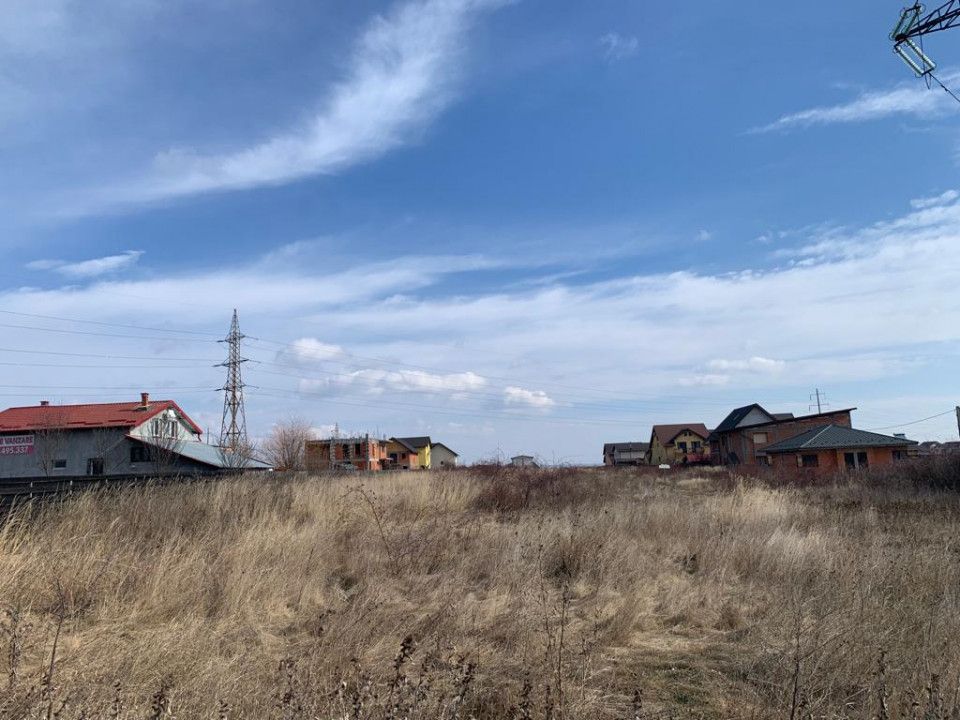 Vanzare Teren Trivale Platou Drumul Morii - Poză 5