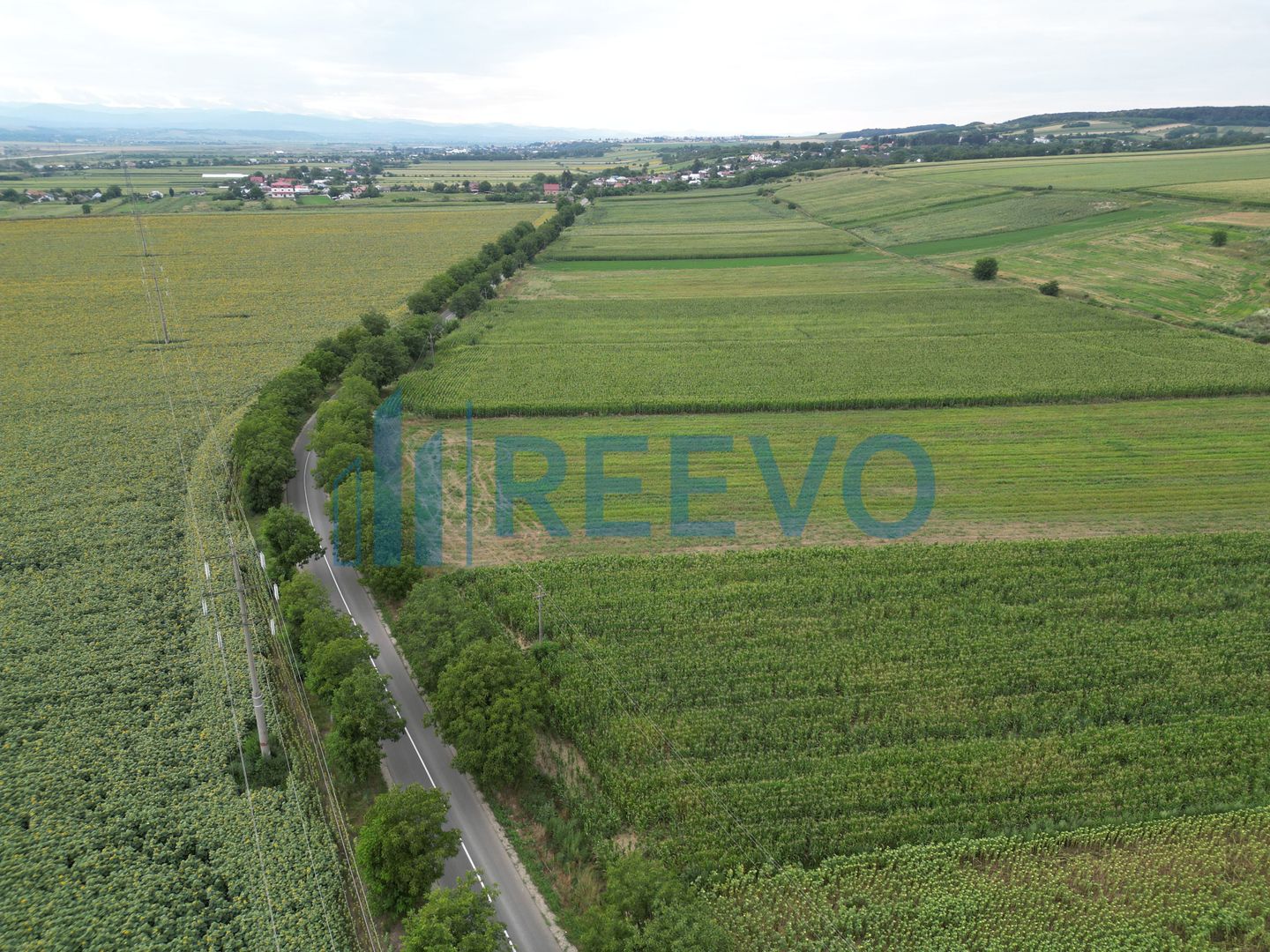 Teren de 4.400 mp Racova - Poză 7