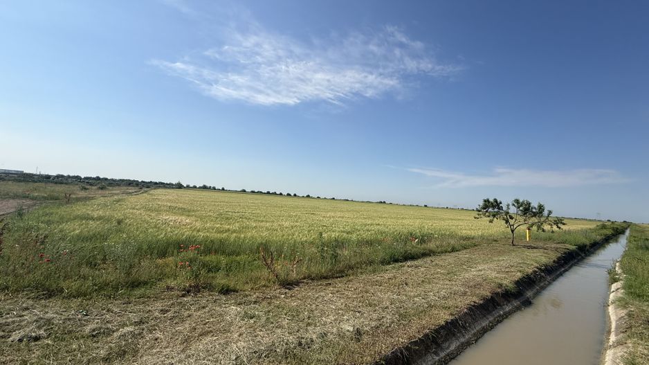 Teren 10 hectare pretabil pt panouri solare-Aricesti Rahtivani - Poză 6