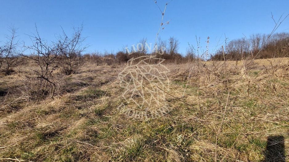 Teren 2100 mp in Zona Valea Stanelor - Poză 1