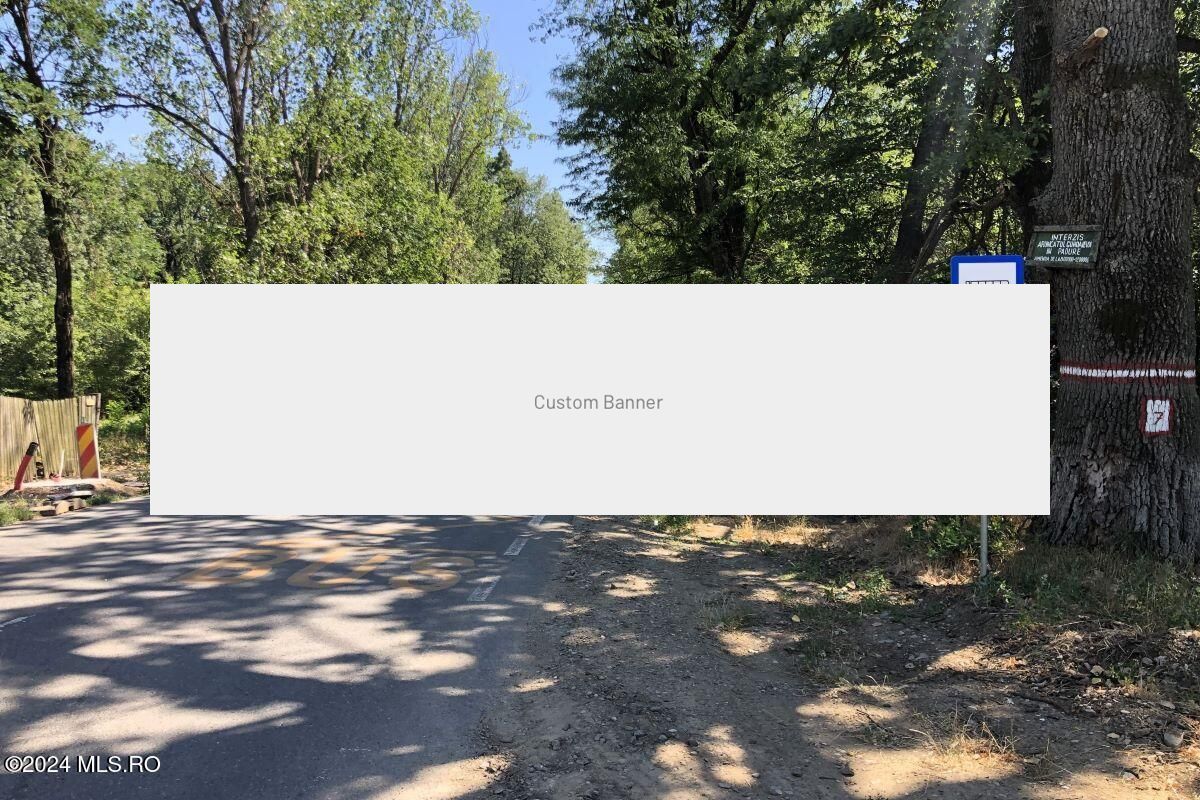 Moara Vlasiei - langa Padurea Biglaru, 11.884 mp, deschidere 40 ml - Poză 7