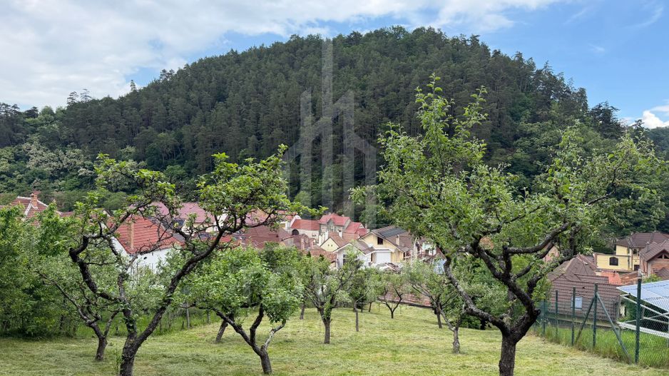 Casă rustică de vânzare în Tilișca, (Marginimea Sibiului) - Poză 8