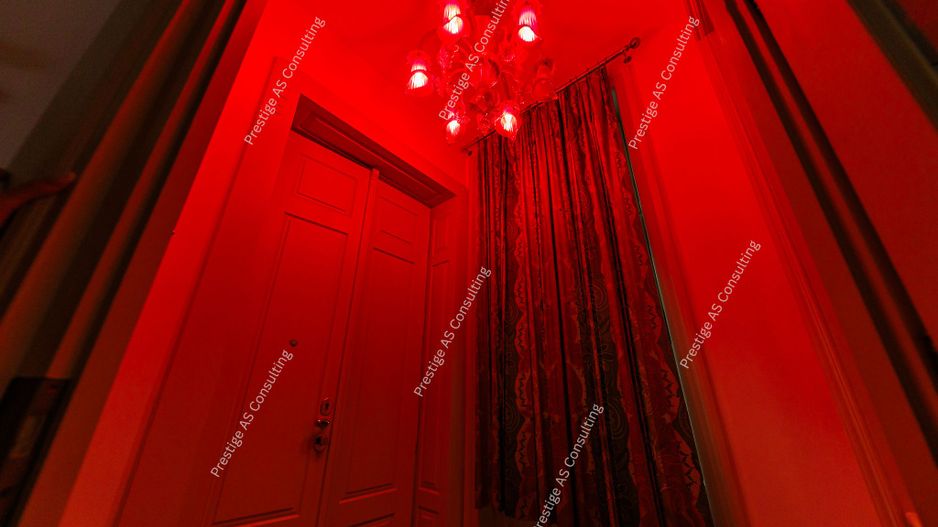 Resedinta patrimoniala de 222 mp | Piata Victoriei | Cladire istorica-Lift - Poză 14