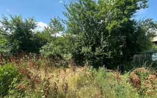 Teren 16534 mp pentru dezvoltare rezidențială, Siliștea Snagovului - Poză 7