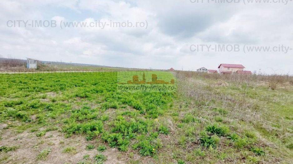 Teren de vanzare Cocani, Crevedia, langa padure Dambovita - 17 km de Bucuresti - Poză 14