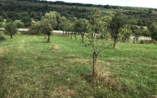 Teren extravilan - Sibiel, Sibiu - Poză 3