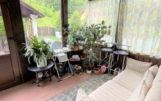 Proprietate in incantarea naturii, oportunitate investitie/rezidential, Predeal - Poză 25