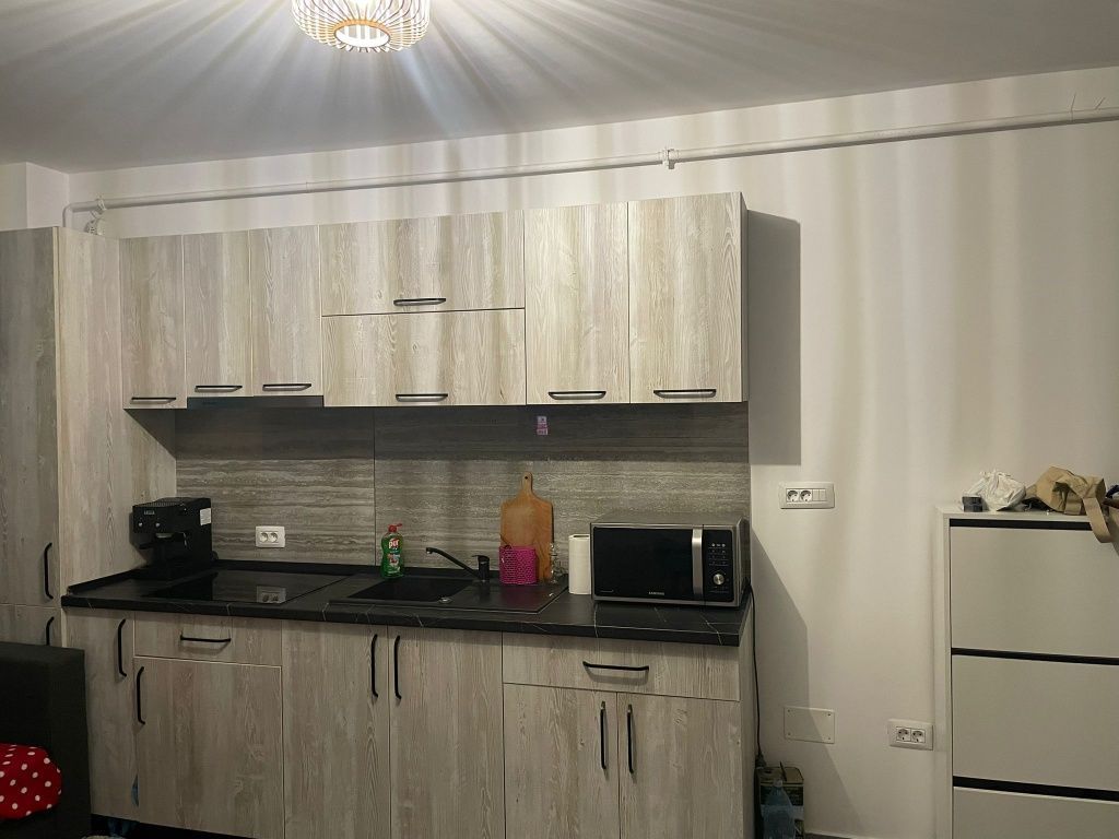 Garsoniera- Brazda lui Novac - Poză 5