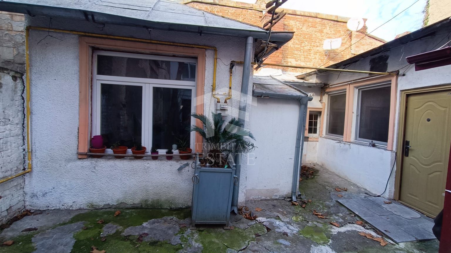 Mosilor Spatarului casa 3 camere - Poză 10