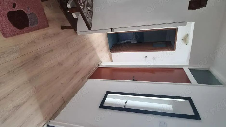 Petre Ispirescu Bârcă - Poză 4