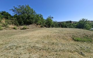 Teren Intravilan 1200 mp Podgoria - Poză 3