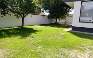 Padurea Craiului - Poză 7