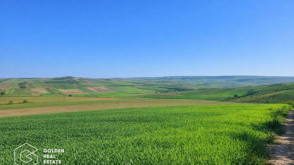 Teren extravilan, categoria ,,vie'', Cuvin - Poză 1