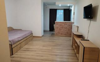 Garsoniera spatioasa, Bulevardul Timisoara - Poză 1