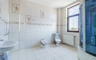 Locuință spectaculoasă cu potențial de business – 730 mp, sector 2 - Poză 16