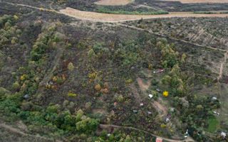 Teren 18,300mp Ghioroc - Poză 18