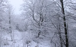 Teren de vanzare I izvor apă minerală  Dangești I 2 Hectare - Poză 36