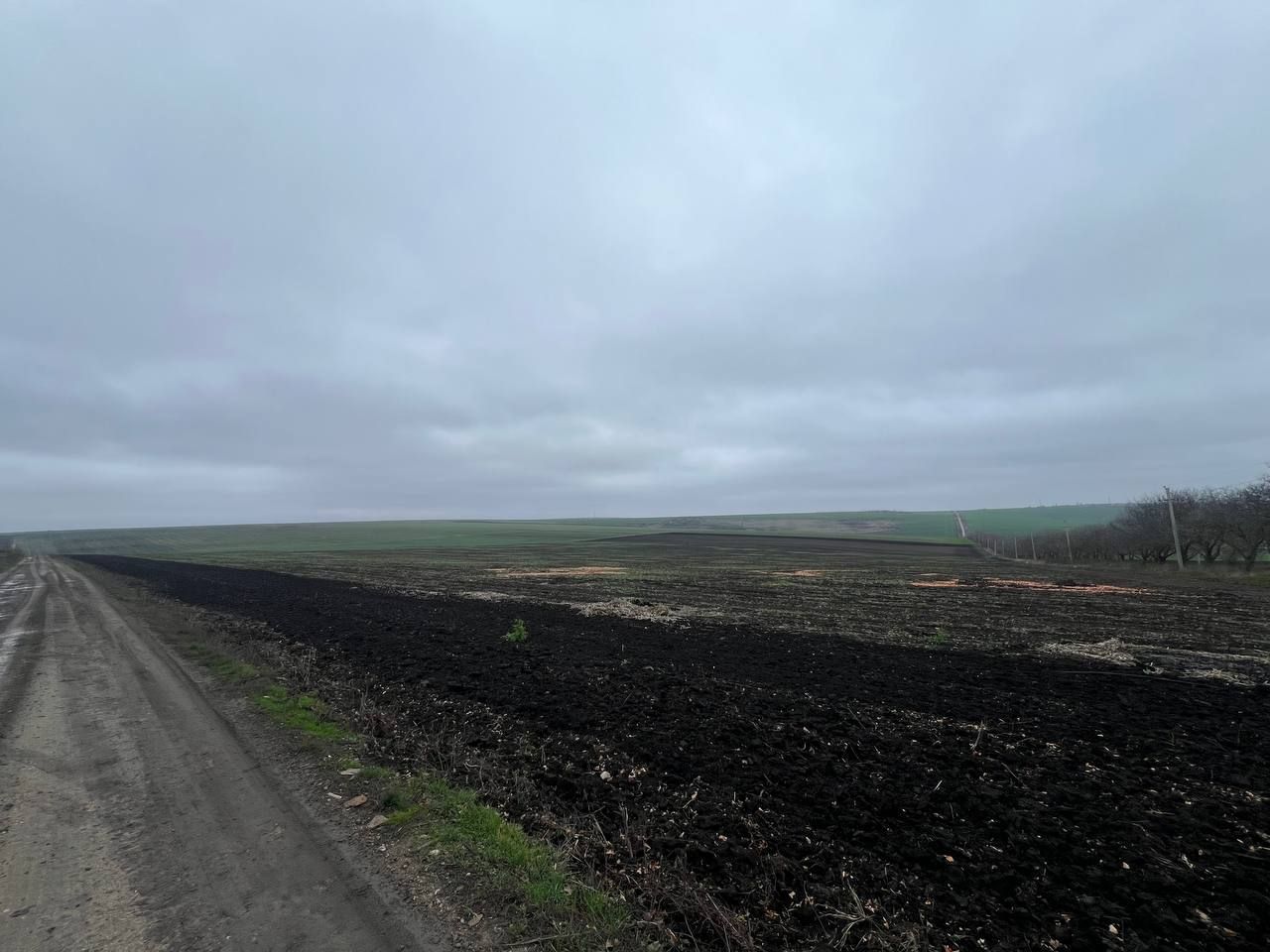 Teren Agricol 5.24 HA com. Cruzești mun. Chișinău - Poză 9