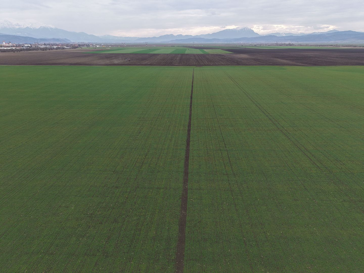 Teren de vânzare – 20.000mp – Ghimbav, lângă Parcul Industrial - Poză 12