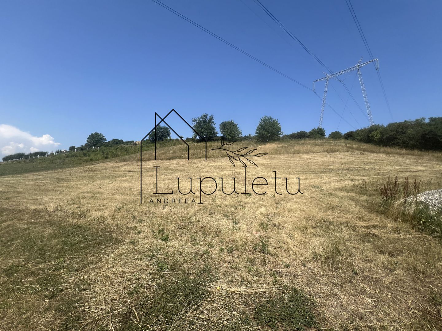 Teren Intravilan |5.000 MPU | Șura-Mare | - Poză 4