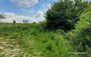 Teren intravilan 2880 mp, DJ 572 Lipova - Poză 2