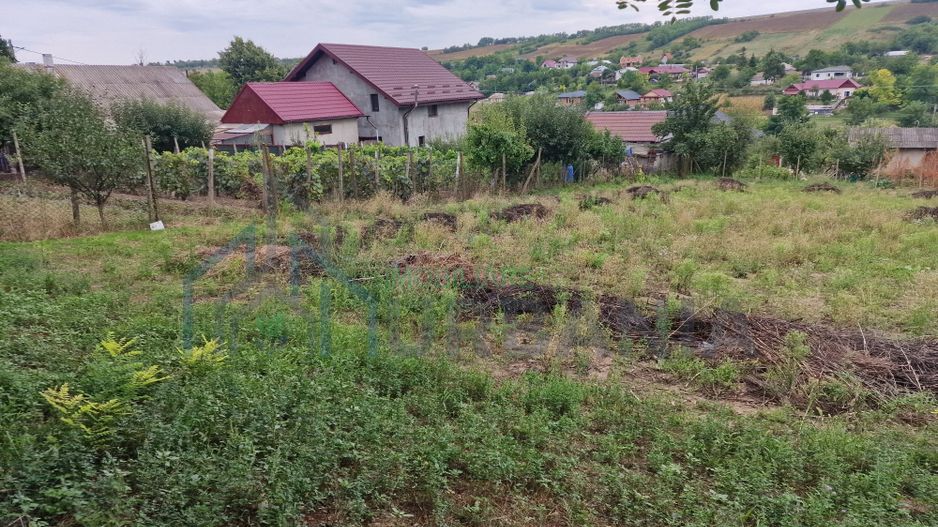 Teren de vânzare vânători - Poză 1