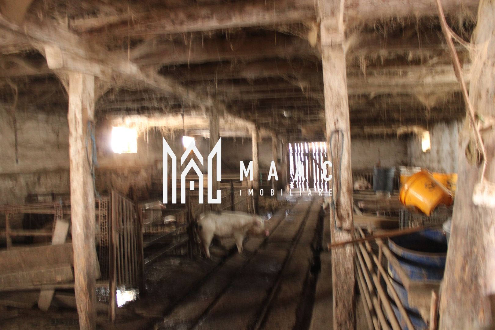 Ferma de Vânzare – Oportunitate Unică! - Poză 7