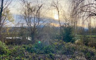 EXCLUSIV | TEREN INTRAVILAN | INVESTIȚIE | BEIUȘ – STR. PLOPILOR | 13.500 MP - Poză 2