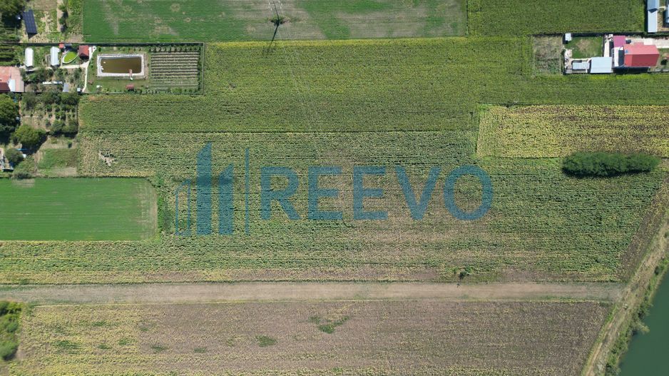 Teren intravilan în Racova - Poză 9