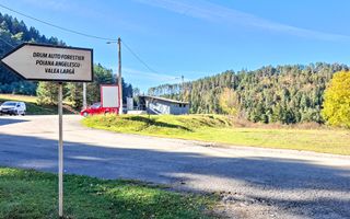 Teren Intavilan I Poiana Angelescu Sacele - Poză 13