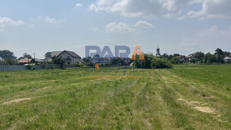 5200 mp intravilan - Str Viitorului (zona Abator) - Poză 5