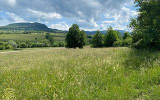Teren 6500 mp-Lac-vedere panoramica-ideal cabana-Cusma - Poză 1