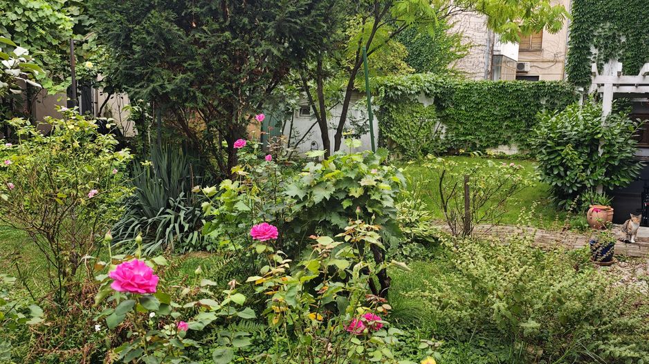 Condominiu de lux cu gradina, incalzire pardoseala. ZONA CONSULATELOR! - Poză 19