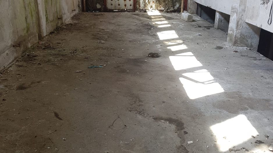 Teren - hala de vanzare | Damaroaia | Bucurestii Noi | Pajura - Poză 6