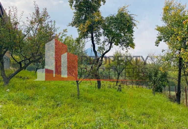 Casa + teren 1700 mp langa Padure Bran/ Predelut - Poză 13