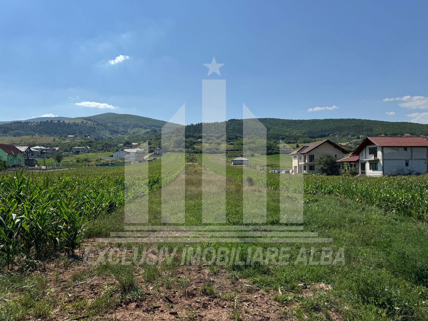 Teren intravilan de vanzare, Alba-Micesti - Poză 2