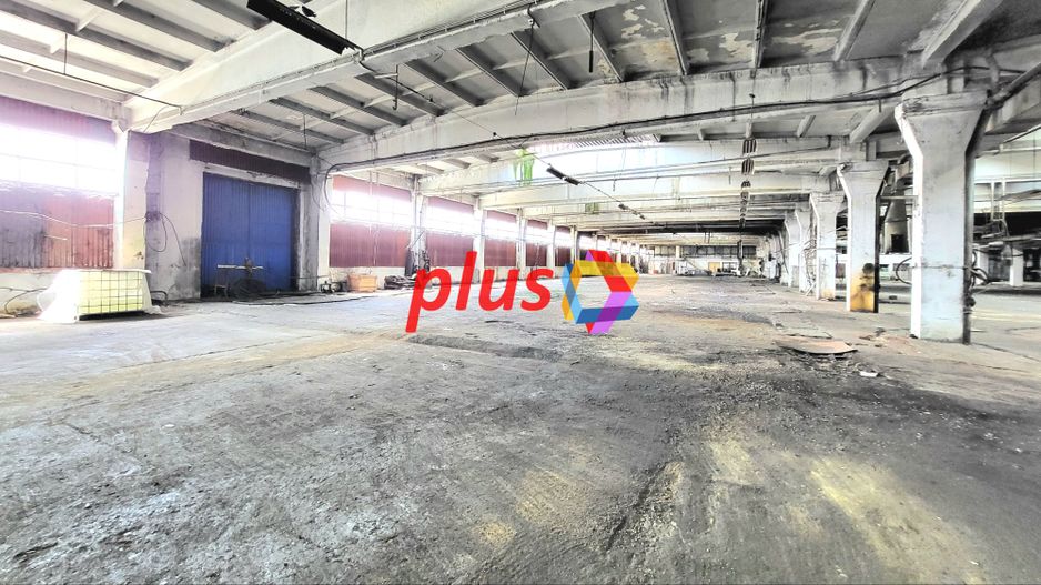 Spatiu industrial - 7788 mp  # plus-imo.ro - Poză 3