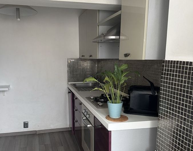 Apartament 2 Camere Decomandat – Vedere Bulevardul Unirii - Poză 12
