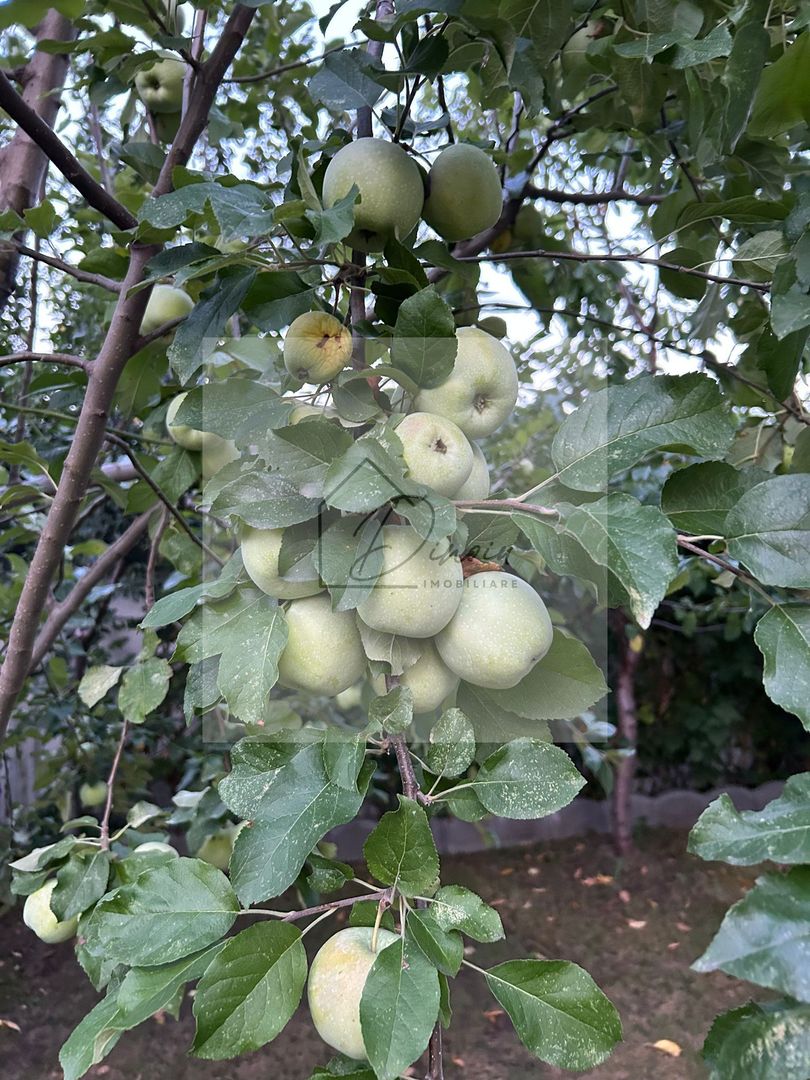 Vila de vanzare in Tunari I Gata de mutat I 4 camere I 5 parcari - Poză 51