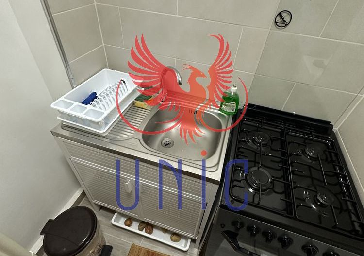 Garsoniera parter - zona Lapus - Poză 8